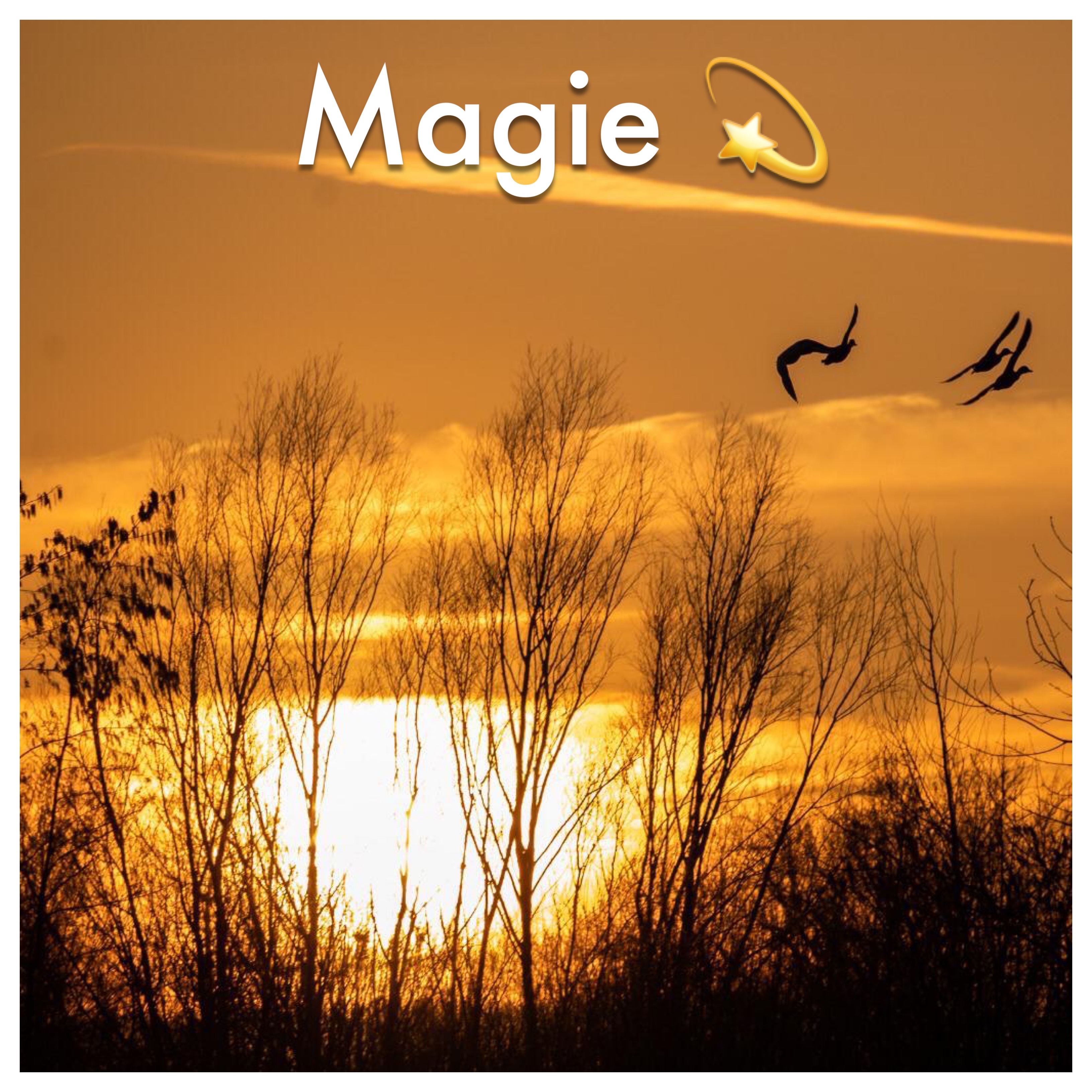 Magie IMG 5117
