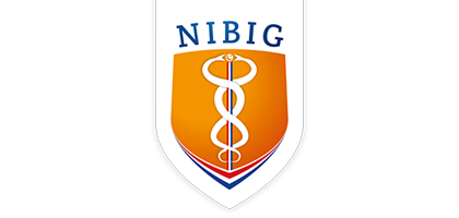 nibig logo